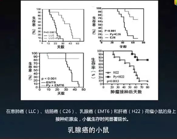 疟原虫治癌最新报道,疟原虫治疗晚期癌症被叫停