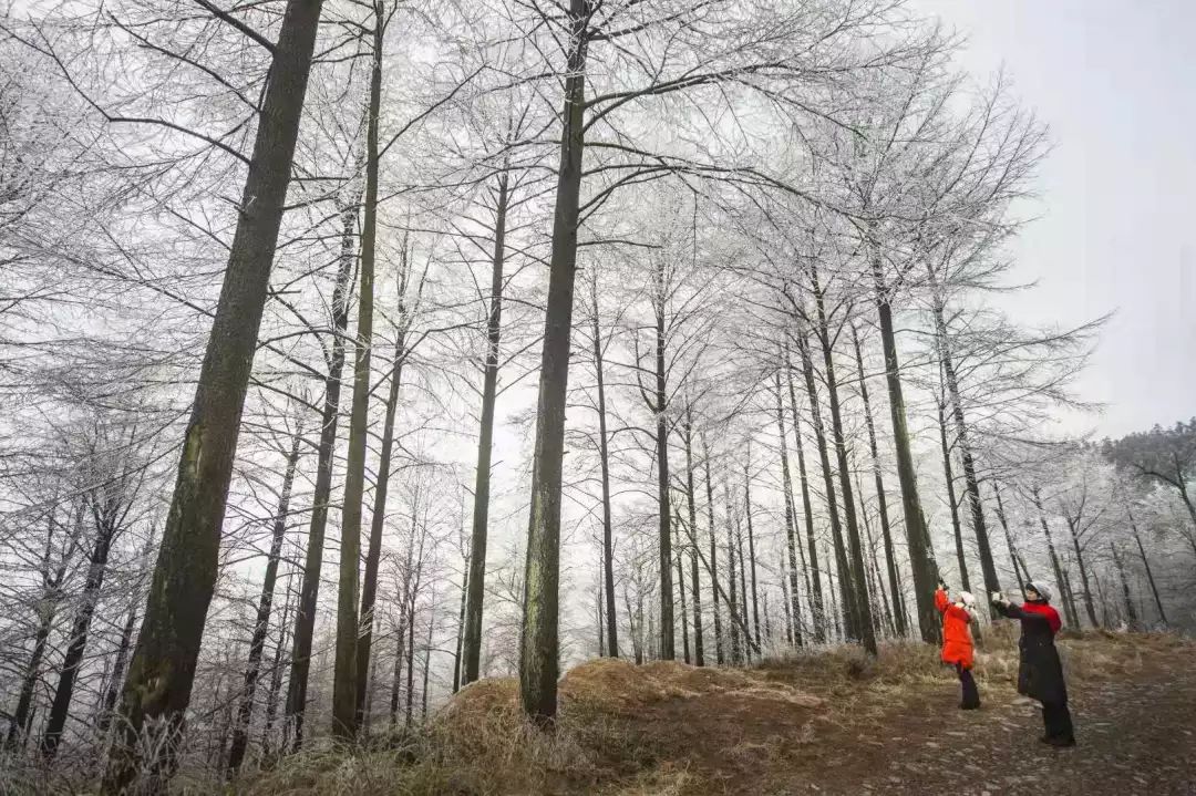 这里是里山！（内含福利）