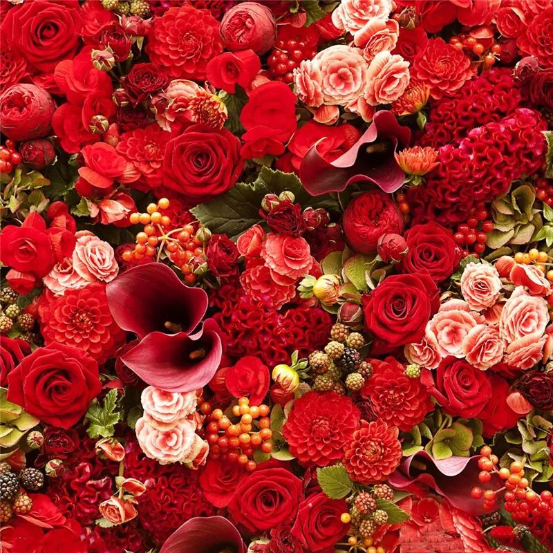 情人节浪漫仪式感玫瑰花,浪漫情人节甜蜜献礼