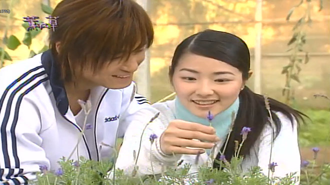 回忆那些年的老剧,重温往昔的经典老剧