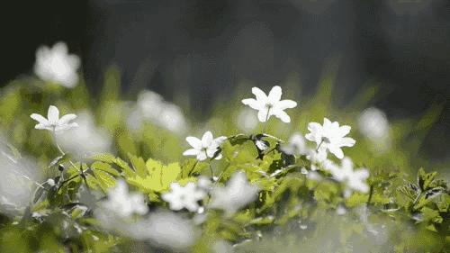 大连金普开学,开学必去的十大地方