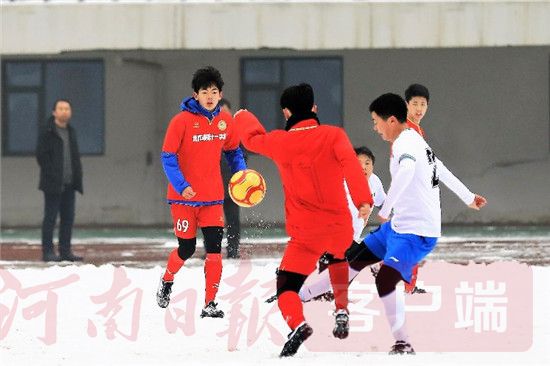 焦作体育大拜年武林高手献技舞龙舞狮欢腾