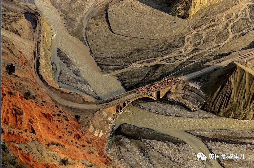 世界索尼摄影大赛作品背后的故事 (2018年索尼摄影大赛获奖作品中国)