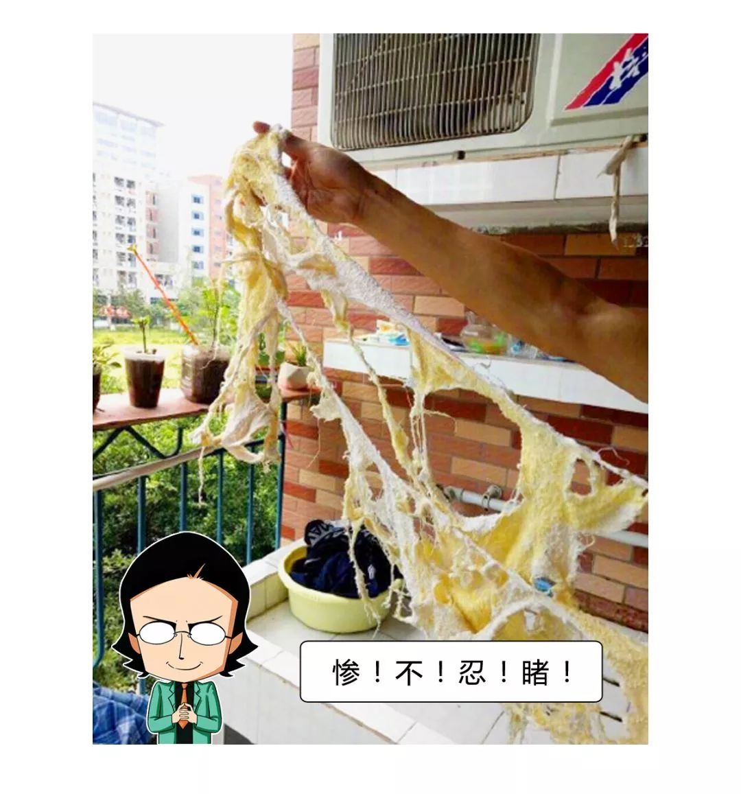 科普|每天轻抚你的面,碰触你的身体对Ta的要求应该高一些!