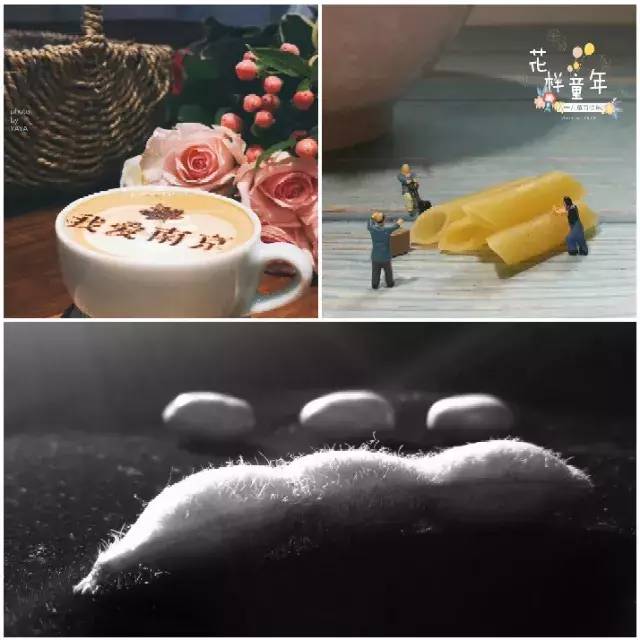 用一本书怎么才能拍出好看的照片,用一本书拍出好看的照片