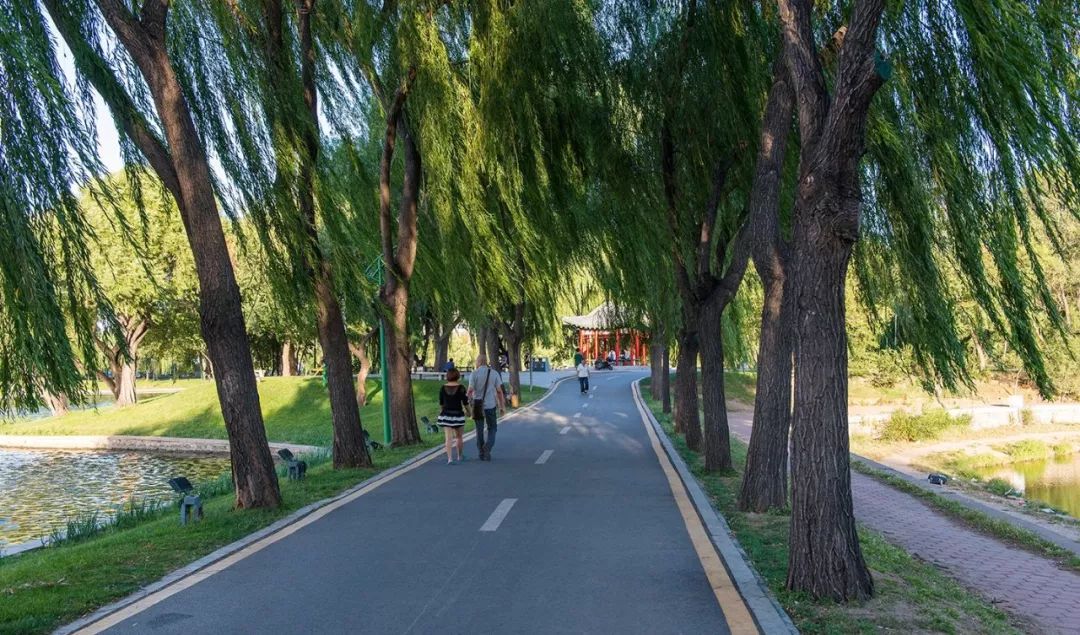 雨水时节的由来及含义,雨水时节适合种什么菜