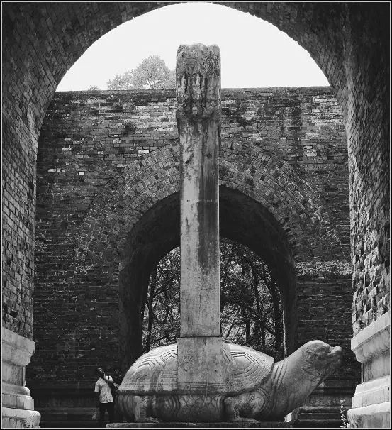 叶兆言南京传,叶兆言关于南京的书