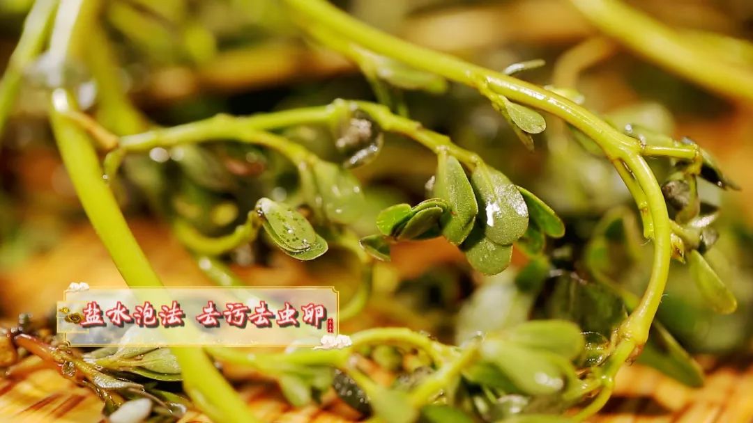 马齿苋美食做法家常菜,马齿苋的美味佳肴