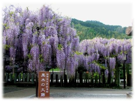 日本九州小众旅游攻略大全,日本小众旅行景点推荐