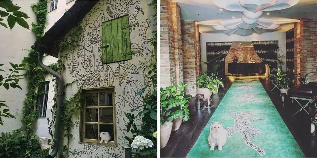 老佛爷的所有家产最后留给了猫 (老佛爷的猫死后谁来继承他的遗产)