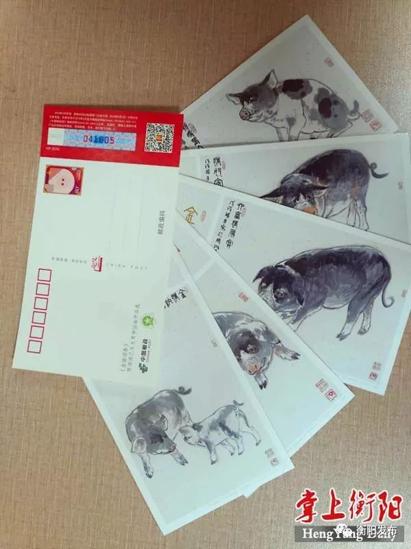 衡阳籍画家陈湘波“生肖猪”明信片发行，你收藏了吗？