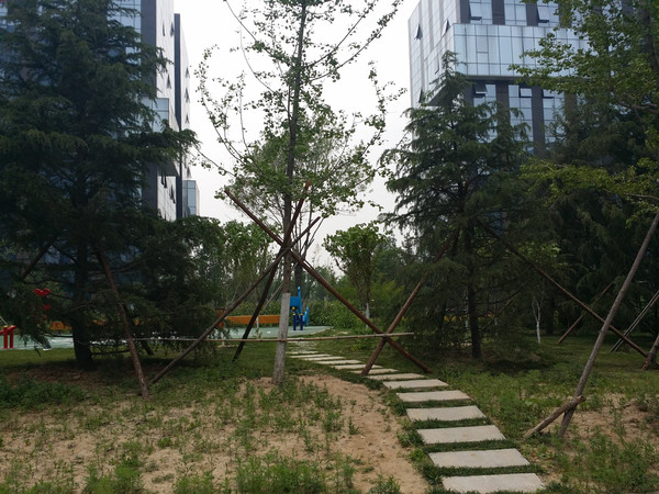 北京10天自助游攻略,自驾游北京免费住宿攻略路线推荐