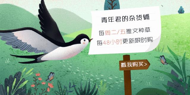 石原里美护肤全过程,国民女神石原里美