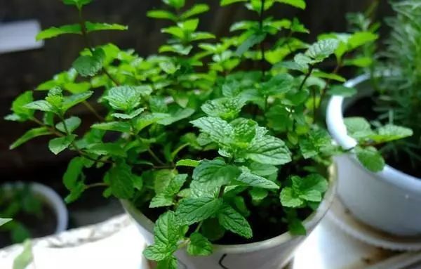 开窗通风怕下雨怎么办,室内不开窗户怎么保持通风