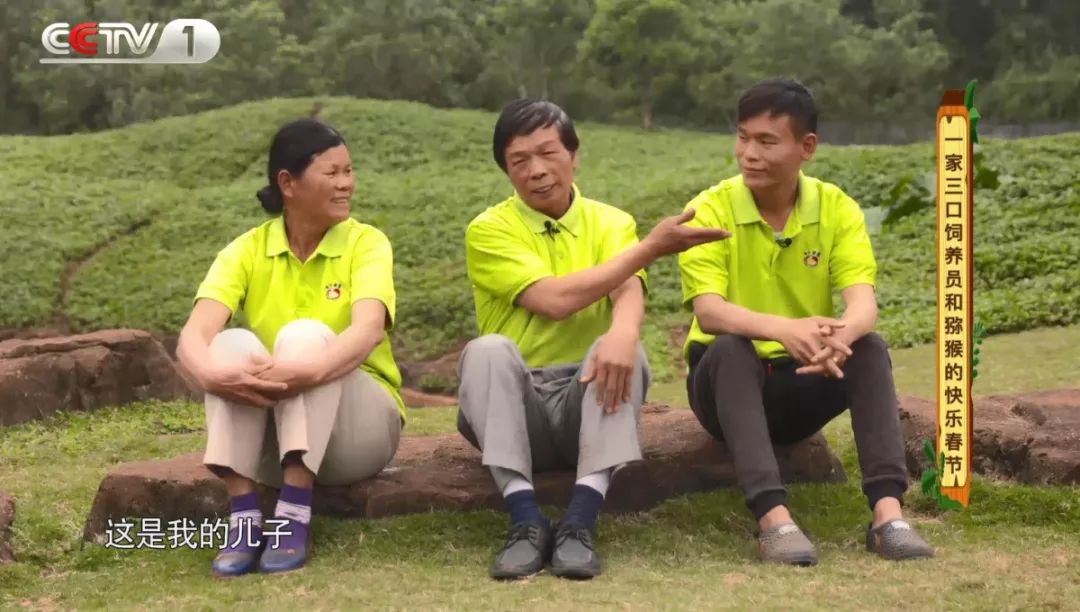 企鹅单身日记：我就是“吃饭睡觉打豆豆”里的豆豆