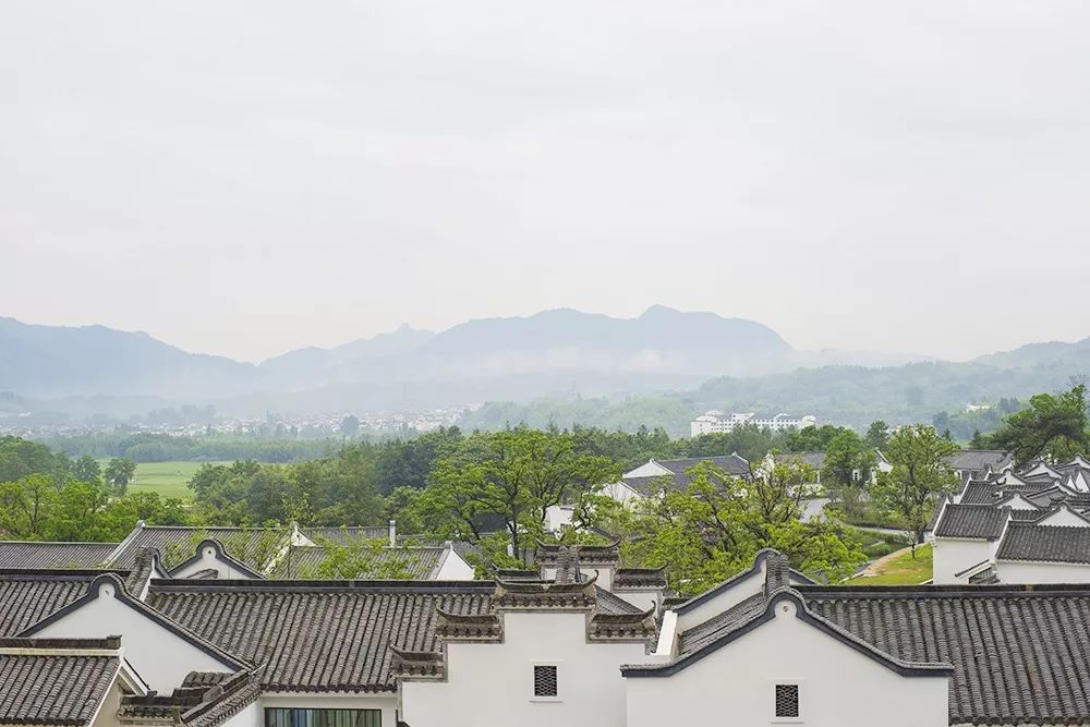 这家扎根在花海的悦榕庄即将迎来暖意春天！千元直降还含SPA,高铁1.5h!