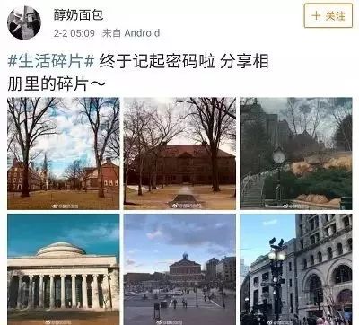 伪装MIT学霸，Ins盗图发博，求求这位戏精妹子别再给留学生招黑了