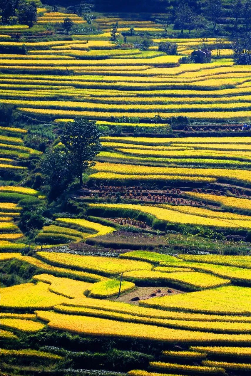 12月去哪里旅游机票最便宜又好玩,2021年三月份去厦门机票