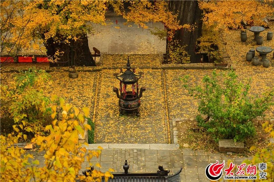 泰山山东景区门票降价,泰山景区门票优惠政策