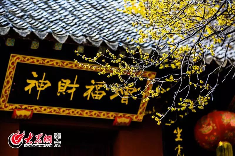 泰山山东景区门票降价,泰山景区门票优惠政策