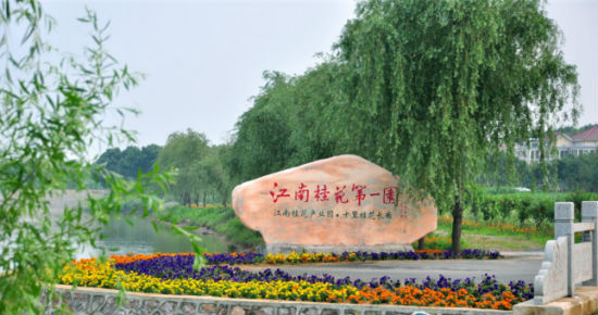 探索乡村振兴新路径,我市农文体旅融合促进乡村振兴