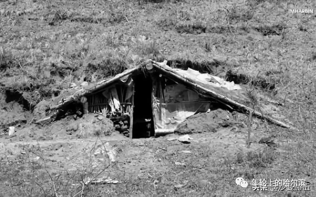 哈尔滨杨马架子前世今生,尘封的往事完整视频