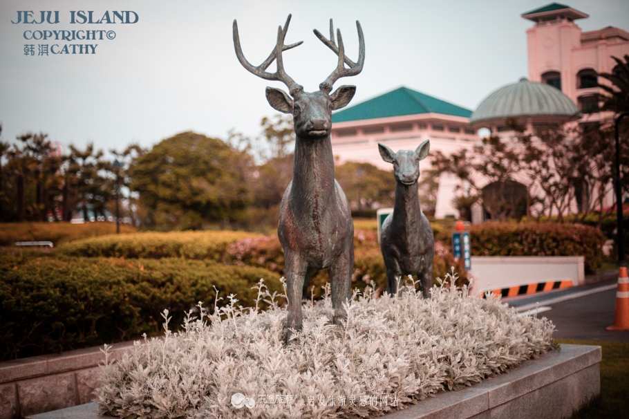韩国济州岛海鲜汤,济州岛辣海鲜汤
