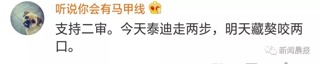 又是遛狗不牵绳！泰迪起身走了两步吓得老人摔成9级伤残，狗主人被判赔20万！