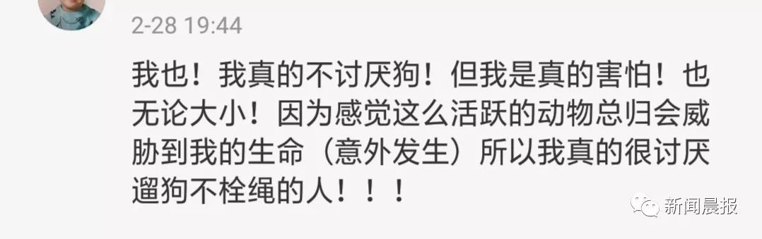 又是遛狗不牵绳！泰迪起身走了两步吓得老人摔成9级伤残，狗主人被判赔20万！
