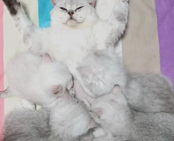 产后抑郁到底有多可怕,产后抑郁好可怕