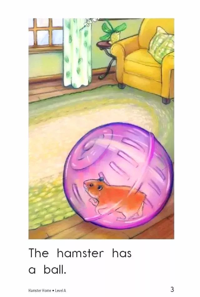 「英语轻松学」之《HamsterHome》仓鼠的家