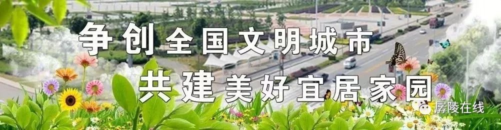官方：中小学校内不设小卖部,中小学校内小卖部被取消