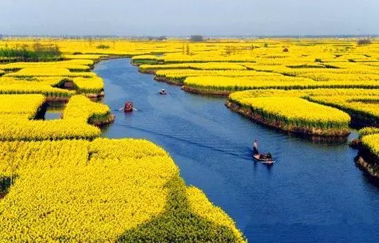 武汉六大湿地公园,百湖之市武汉