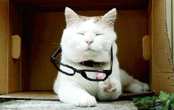 含有害成分，日本网红眼药水国外禁售！那么还有哪些眼药水不能用？