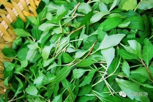 这是一份来自三明的“春天使用说明书”，请仔细阅读！