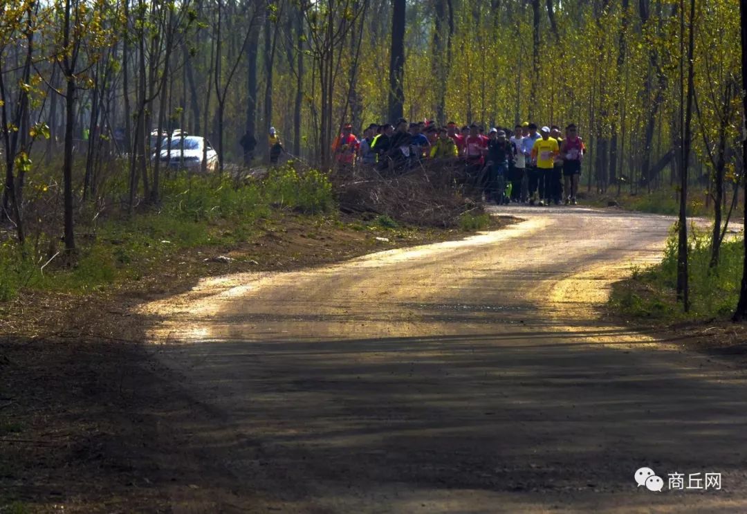 黄河故道徒步穿越,黄河故道湿地花海