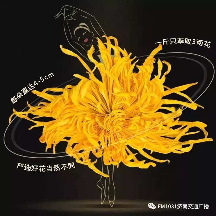 春季养生清肝食物大全图片,春天清肝火明目的食物