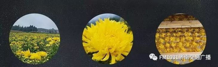 春季养生清肝食物大全图片,春天清肝火明目的食物