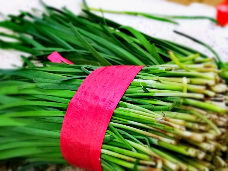 早起的鸟儿有虫吃用英语表达,早起的鸟儿有虫吃美句