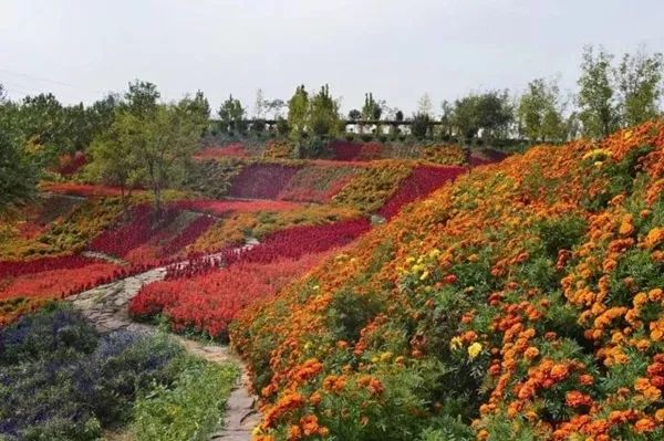 鹿泉网红打卡地免费,鹿泉太平河网红打卡圣地