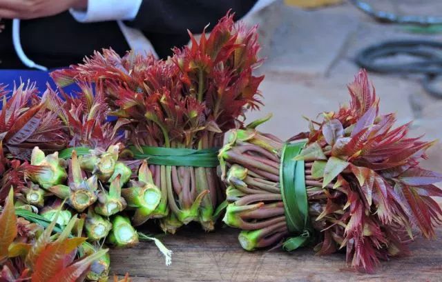 宿州野菜,挖野菜的视频火了