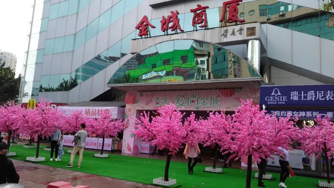 玉林网红打卡点格桑花景区,玉林打卡网红地古镇