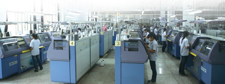 橄榄生长省份,橄榄生长在土里么