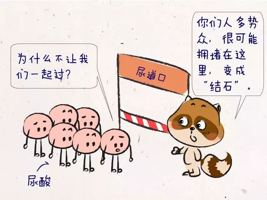 尿酸高肾脏受损的症状吃什么,尿酸高肾功能受损怎么办