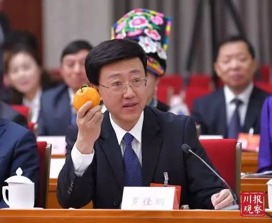 四川代表团开放了吗,四川代表团举行开放团组会议