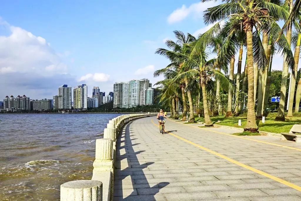 濮阳到洛阳跟团游三天两夜双人团,濮阳出发跟团游2天1晚