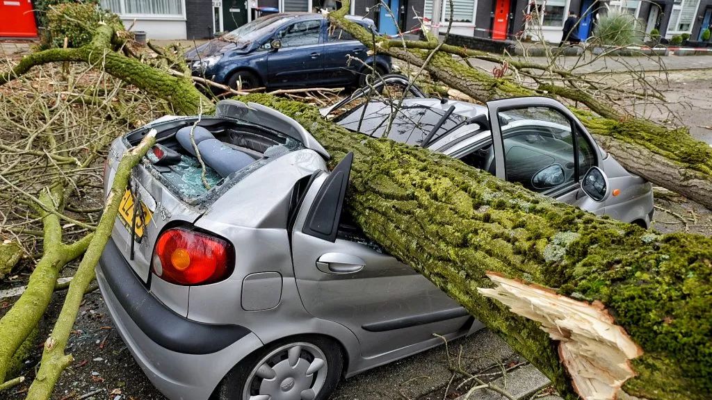 风暴南移，气候预警升至橙色，荷兰今日天气更反常，明天如何？