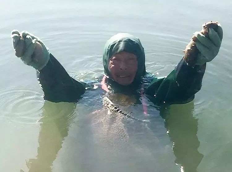 早上空腹吃它是“百补之王”补肝强肾、延年益寿,现在知道还不晚……