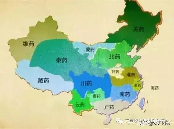 想种药材不知道选啥品种,想种药材不知道怎么卖