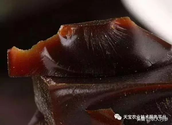 想种药材不知道选啥品种,想种药材不知道怎么卖